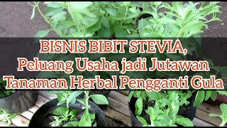 INDAHNYA BERBAGI Part 76 