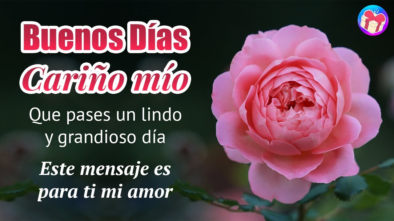 💌 BUENOS DIAS Cariño Mio ¡Te Amo!💝 Que pases un grandioso dia y este  mensaje es para ti - thptnganamst.edu.vn