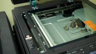 Information SIS #3 How to get rid of lines on your copies. Guide
