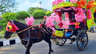 NAIK KUDA DELMAN ~ ONDEL ONDEL BADUT JOGET - CICAK² DI DINDING - POTONG BEBEK ANGSA - ANAK KUCING