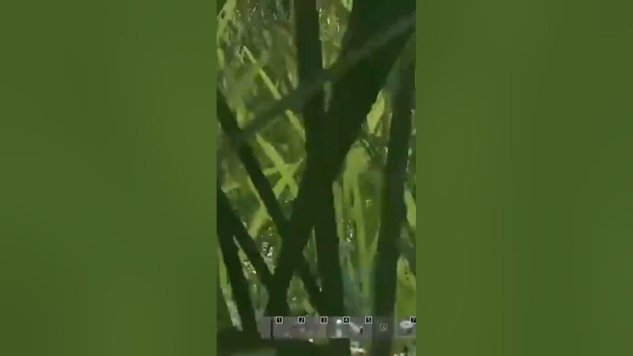 Why is dayz like this youtube