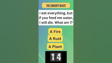 "Quick Brain Teaser: Can You Get It Right?"