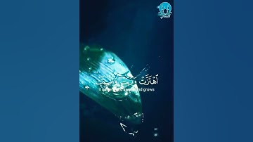{وَتَرَى الْأَرْضَ هَامِدَةً...} (5) سورة: الحج القارئ: ياسر الدوسري