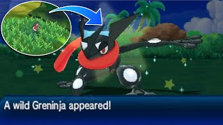 WILD SHINY GRENINJA! Live Shiny Island Scan Greninja after 1,878 TOTAL Encounters Pokemon Ultra Sun