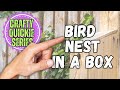 CRAFTY QUICKIE Series Bird Nest In a Cheese BOX DIY Decor