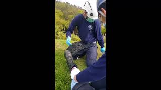 TRAUMA MUSCULOESQUELETICO