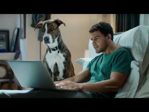 PetSmart Buy Online, Pick Up In Store, Now with Curbside Pickup! - PetSmart Buy Online, Pick Up In Store, Now with Curbside Pickup!