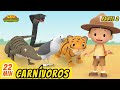 Carnívoros Episodio Compilación (Español) [Parte 2/6] - Leo, El Explorador Episodio | Animación