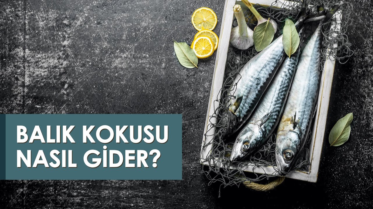 evdeki balik kokusu nasil gider youtube