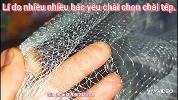 Lí do nhiều bác ngư dân chọn chài cước mắt tép,