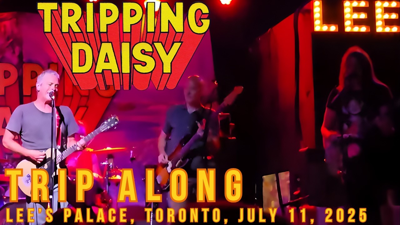 Tripping Daisy | 