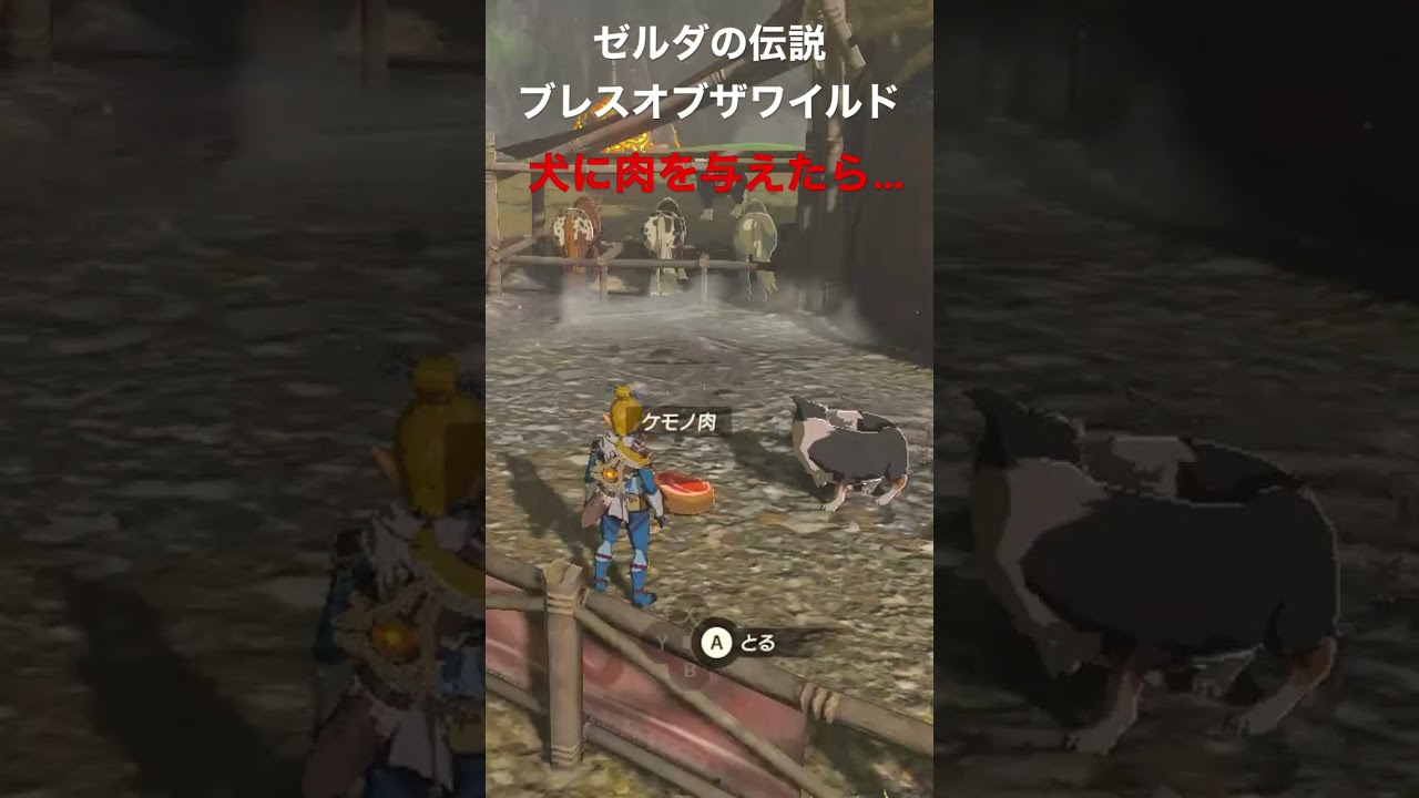 ゼルダの小ネタ 犬にお肉を与えたら癒される ゼルダの伝説ブレスオブザワイルド テレビゲーム総選挙第1位 Short Youtube ゼルダの小ネタ 犬にお肉を与えたら癒される ゼルダの伝説ブレスオブザワイルド テレビゲーム総選挙第1位 Short Youtube