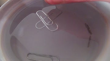 HOW TO MAKE A PAPERCLIP FLOAT ON WATER!