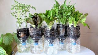 Self watering system for plants using waste plastic bottle