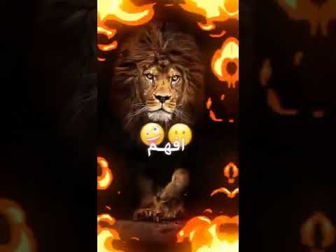 جديد خالد الاغا نارر ليش العالم مضغوطه ورايد افهم