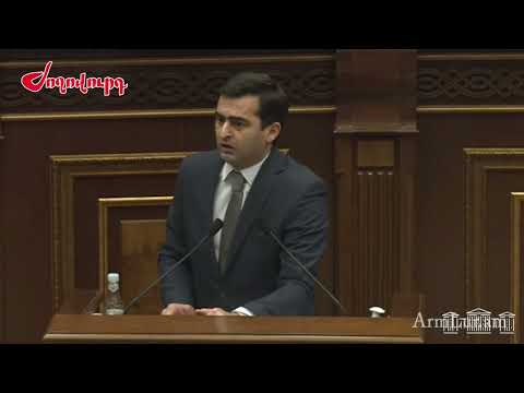 120 հազար դոլար Ալեն Սիմոնյանի գործուղումների համար․ Արեգնազ Մանուկյան