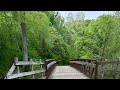 Walking Riverside Subdivision & Neuse River Trail Raleigh NC | Peaceful Neighborhood to Nature Walk
