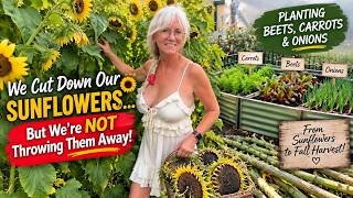 I Cut Down Our Sunflowers… But I'm NOT Throwing Them Away!