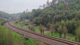 49336 K19 438 2026.3.30