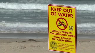 Trump discusses South Bay sewage crisis | NBC 7 San Diego