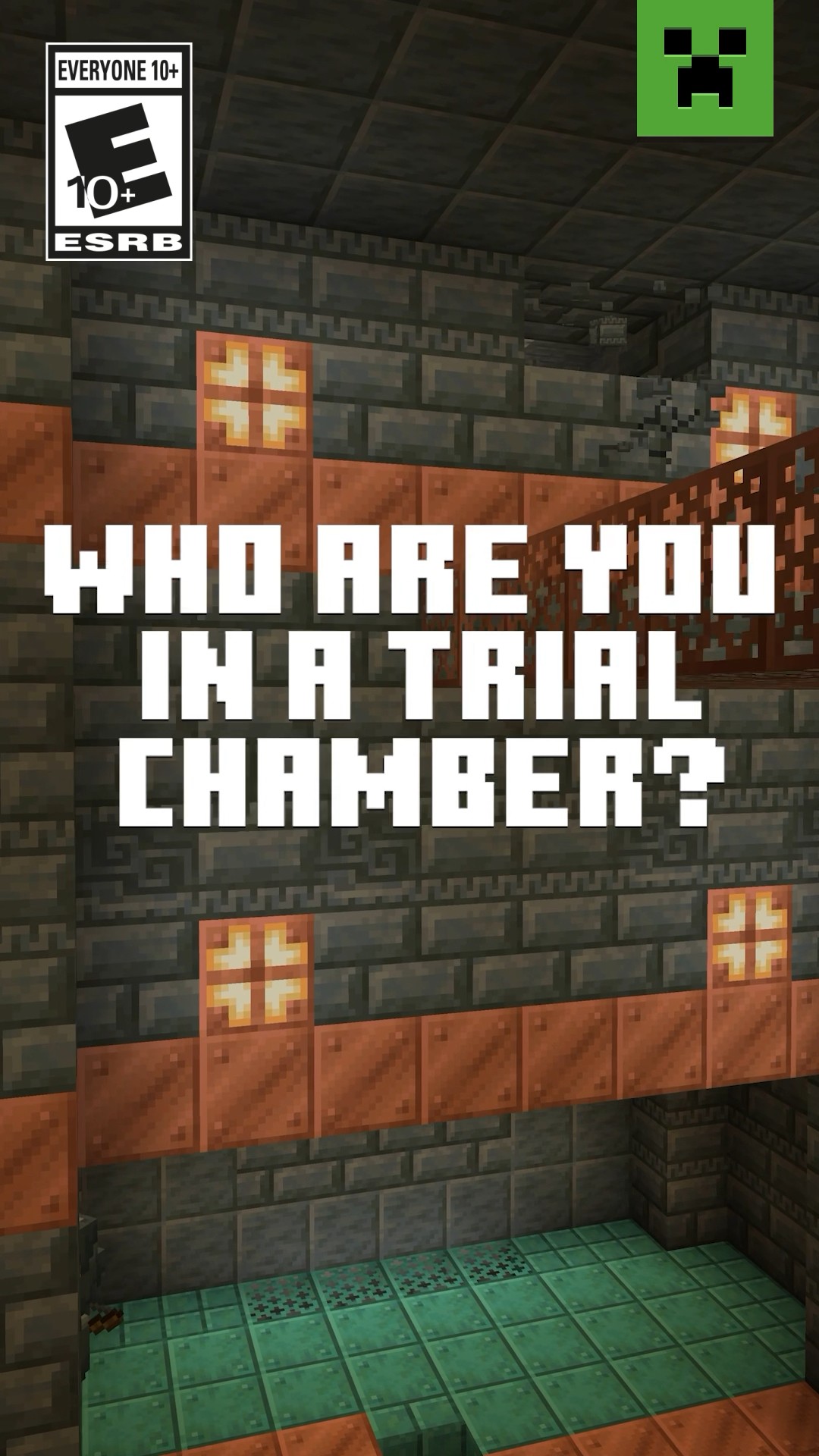 WHO ARE YOU IN THE CHAMBERS?