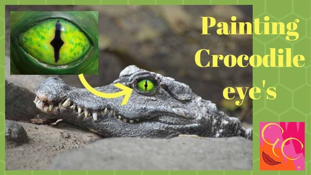 Painting Crocodile Eyes YouTube