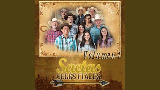 Video thumbnail of "Saetas Celestiales - La Vida del Cristiano"