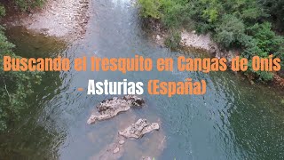 Buscando El Fresquito En Cangas De Onís - Asturias España. Lets Enjoy The Best Summer In Spain