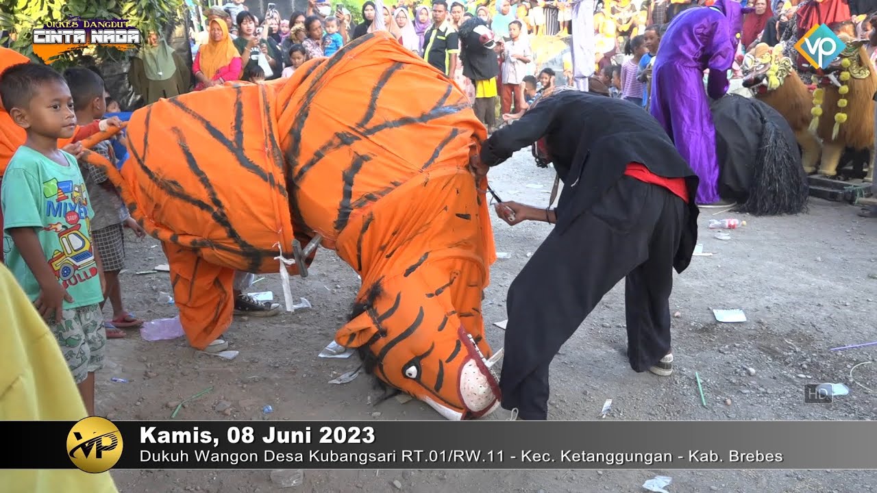 TARUNG CICILIMIT ~ BUROK DANGDUT CINTA NADA BUDAYA SHOW DUKUH WANGON 08/06/2023