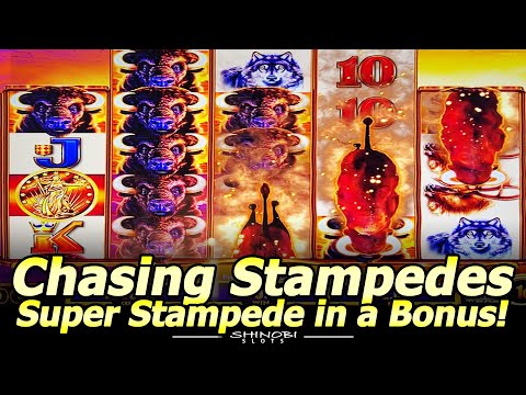 Super Stampede Feature in the Free Spins Bonus! More Buffalo Ascension Slot Play at Soboba Casino!