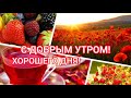 🌤ДОБРОЕ НОЯБРЬСКОЕ УТРО🌤Видео открытка для друзей!