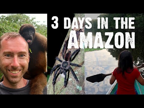 Amazon Rainforest Experience