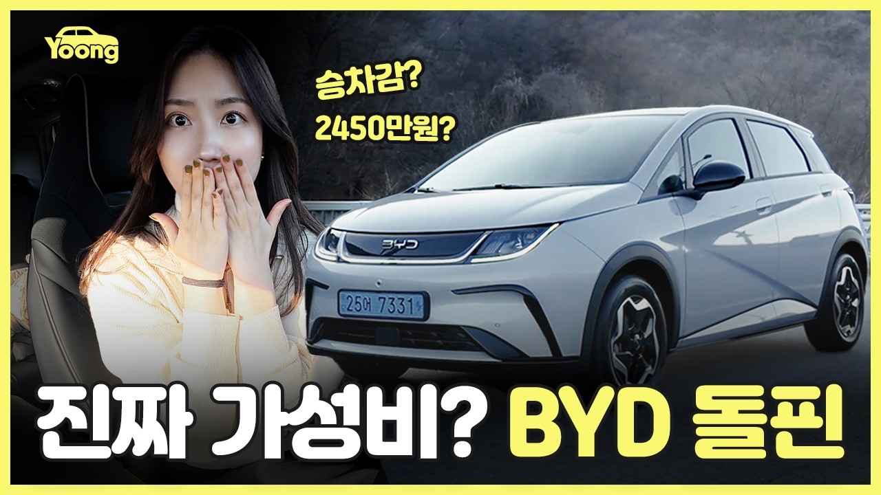 찾았다 진짜 가성비! BYD 돌핀 시승기