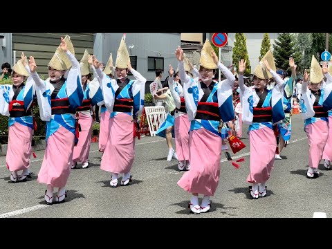 【4K】やっと連 仙台（阿波踊り）