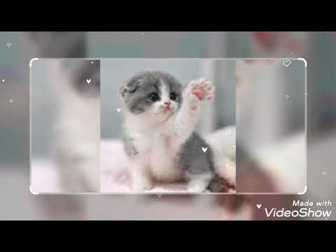 سيبقي إشتياقي لكم في المآقي