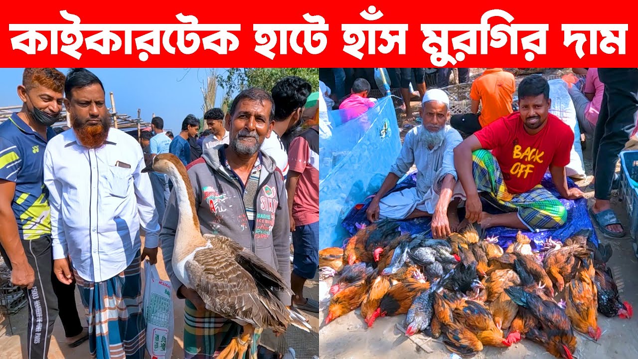 কাইকারটেক হাটে হাঁস মুরগির দাম || Village Market || Village Market in Bangladesh || Kaikertek hat