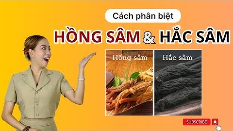Hướng dẫn cách phân biệt HỒNG SÂM và HẮC SÂM - Thi Đặng - ANaNa Nhân Sâm Korea