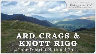 Lake District Walks: Ard Crags & Knott Rigg