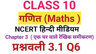 Class 10 Maths Chapter 3 Exercise 3.1 Q6 Hindi Medium | Science Explainer
