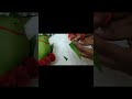 let’s make a little parrot from mango leaf 🍃🦜
