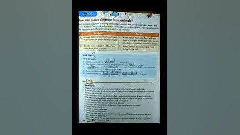 Class3, science, ch2,part 8 by seetha