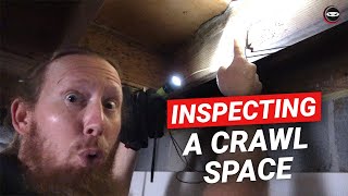 Crawl Space Inspection | Tips for Inspecting Your Crawl Space | Find Crawl Space Problems Like This
