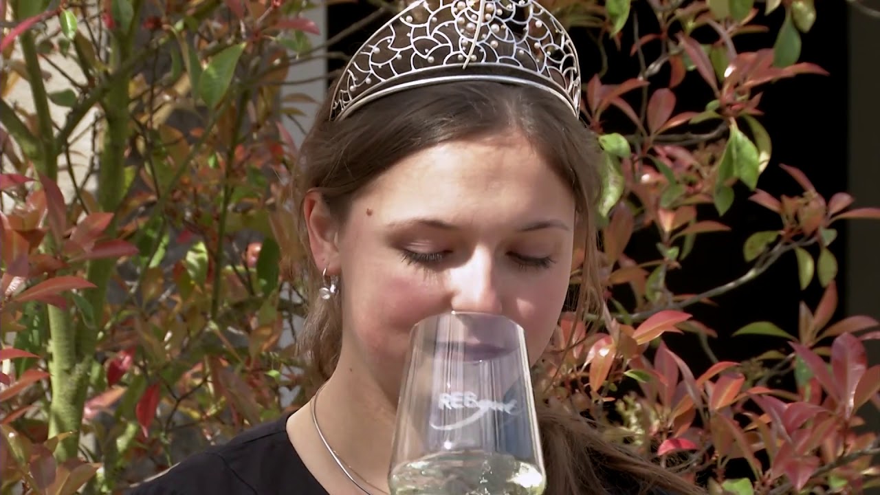 Interaktive Weinprobe Lauda-Königshofen