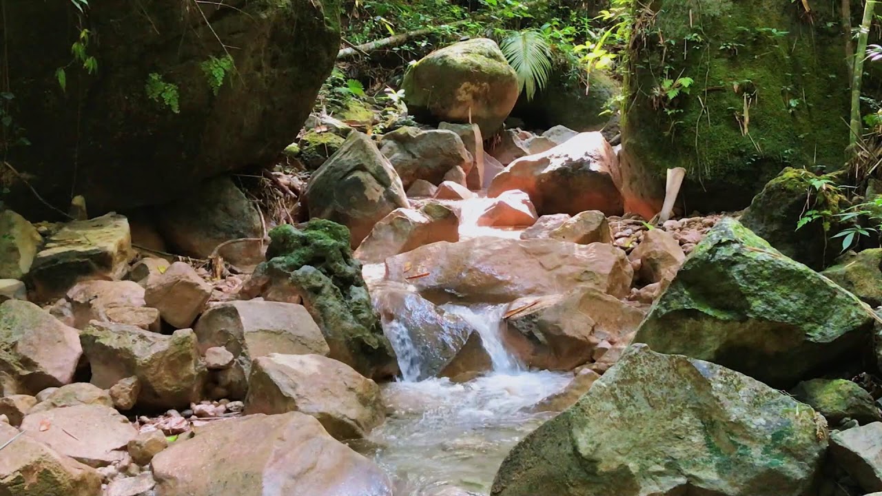 Stress-Free River Flow to help Insomnia Relief, Meditation & Instant Sleep