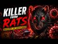 Hantavirus Outbreak 2026: The Cruise Ship Crisis That Changed Everything!