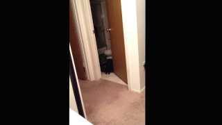 Bathroom Play
