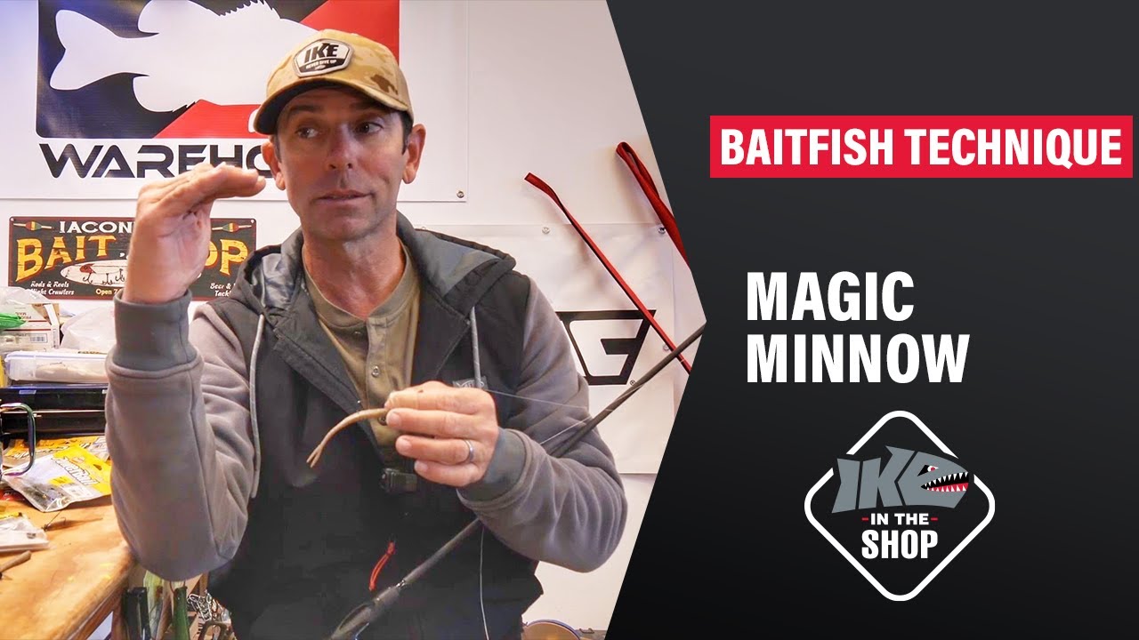 Baitfish Technique You SHOULD Be Throwing! This Bait Is MAGIC