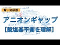 ［腎・泌尿］アニオンギャップ