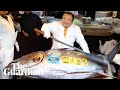 'Tuna King' pays record £2.4m for 243kg giant bluefin at Tokyo auction