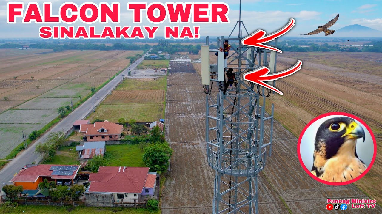 EP612 - FALCON TOWER INAKYAT NG DALAWA!